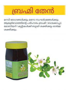 BRAHMI HONEY 250 GM