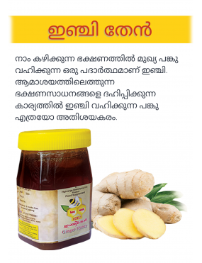 GINGER HONEY 250 GM